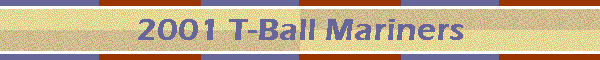 2001 T-Ball Mariners