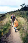 Sat hike.jpg (58515 bytes)